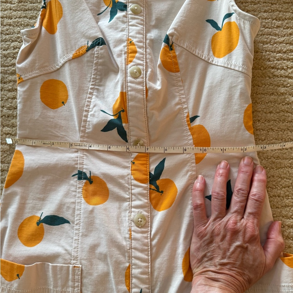 Dylan Mierzwinski Maeve Fruit Print Sleeveless Dress - Picture 6 of 7